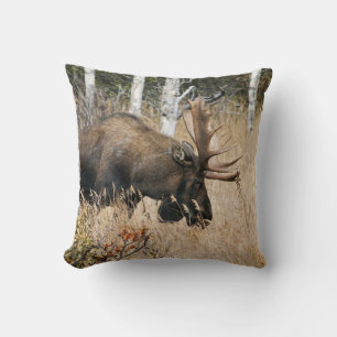 Grazing Bull Moose Throw Pillow