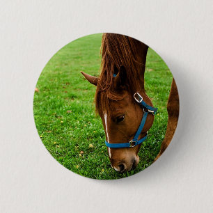 Grazing Chestnut with Stripe 2 Inch Round Button