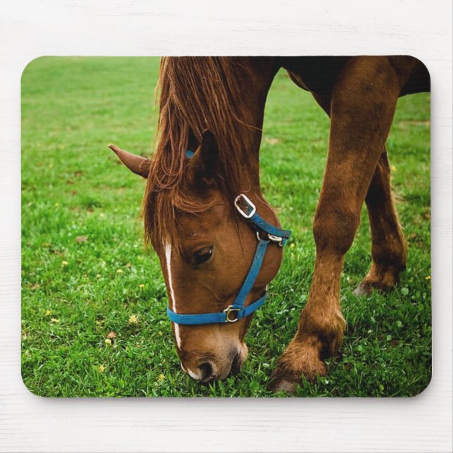 Grazing Chestnut with Stripe Mouse Pad (Front)