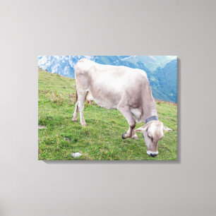 Grazing cow view canvas print