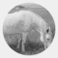 Grazing Dappled Grey