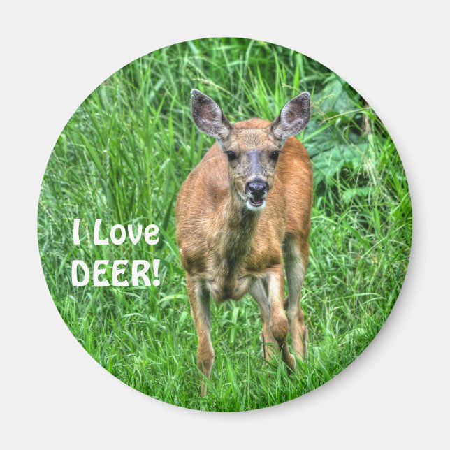 Grazing Deer & Grass Wildlife for Outdoor-lovers Magnet (Front)