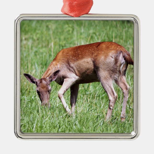 Grazing Deer Metal Ornament (Front)