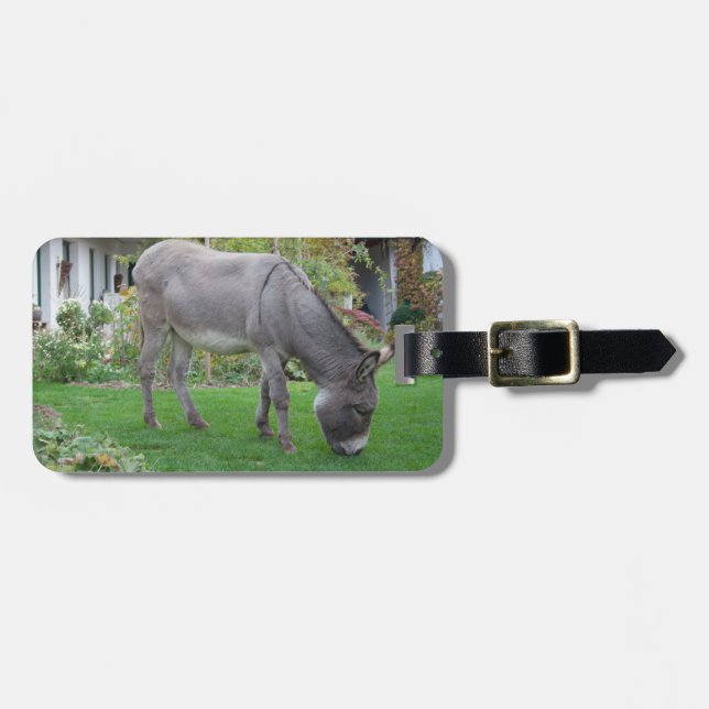 Grazing Donkey Luggage Tag (Front Horizontal)