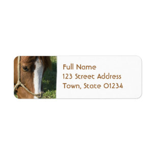 Grazing Draught   Horse Return Adress Mailing
