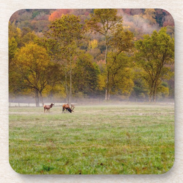 Grazing Elk Couple Coasters set of 6 (Front)