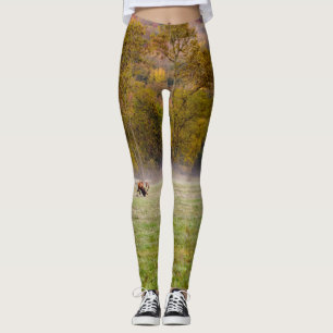 Grazing Elk Couple Leggings