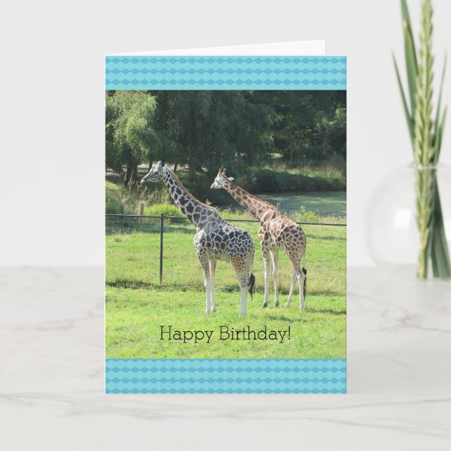 Grazing Giraffes Birthday Greetings Card (Front)