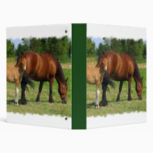 Grazing Horse Family Binder