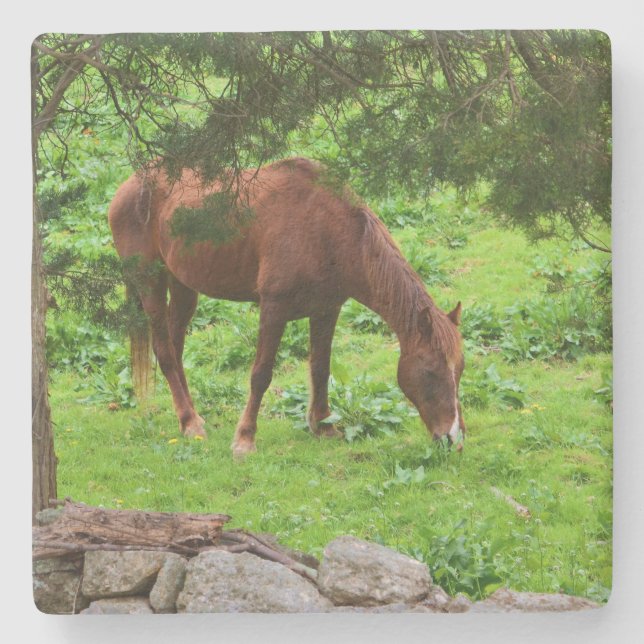 Grazing Horse Stone Coaster (Front)