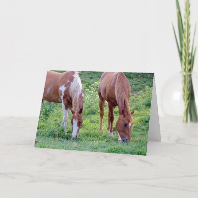 Grazing Horses All Occasions Card (Front)