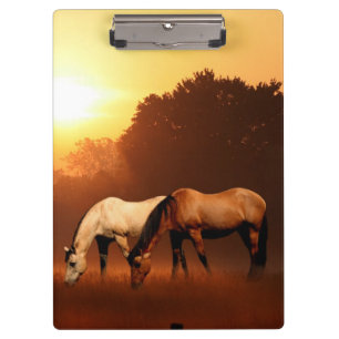 Grazing horses at dawn clipboard