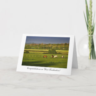 Grazing Horses - Congratulations on Graduating Card