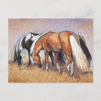Grazing Horses Postcard
