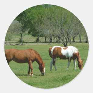 Grazing Horses Scene Classic Round Sticker