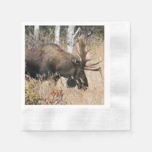 Grazing Moose Napkin
