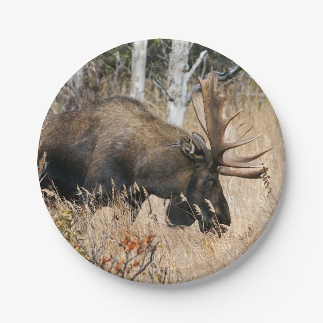 Grazing Moose Paper Plate (Front)