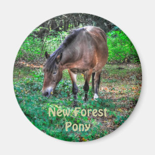 Grazing New Forest Pony Wildlife Magnet