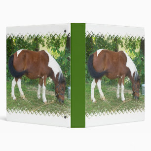 Grazing Pony Binder