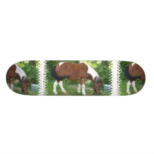 Grazing Pony Skateboard