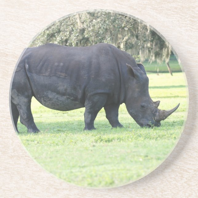 Grazing Rhino Coaster (Front)