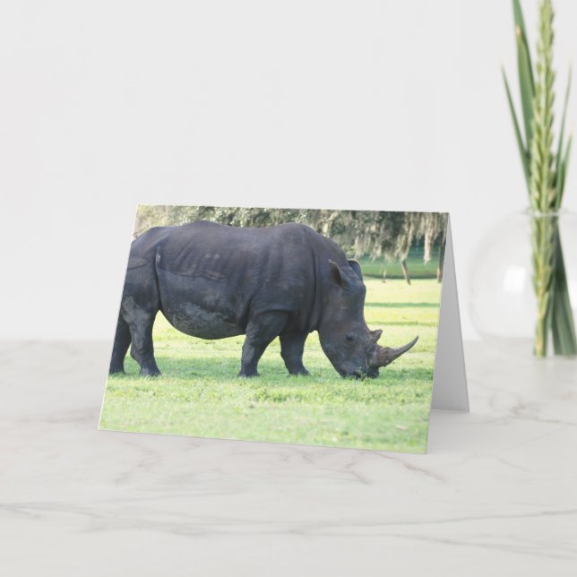 Grazing Rhino Greeting Card (Front)