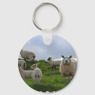 Grazing Sheep Keychain