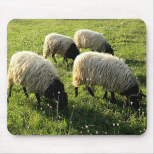 Grazing Sheep Mouse Pad
