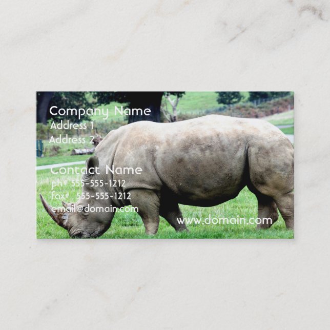 Grazing White Rhino Business Cards (Front)