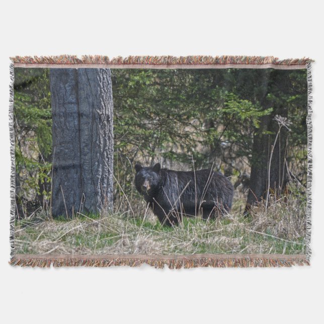 Grazing Wild Black Bear Wildlife Photo Throw Blanket (Front)