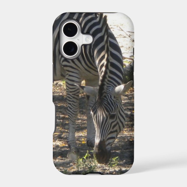 Grazing Zebra iPhone 5 case (Back)