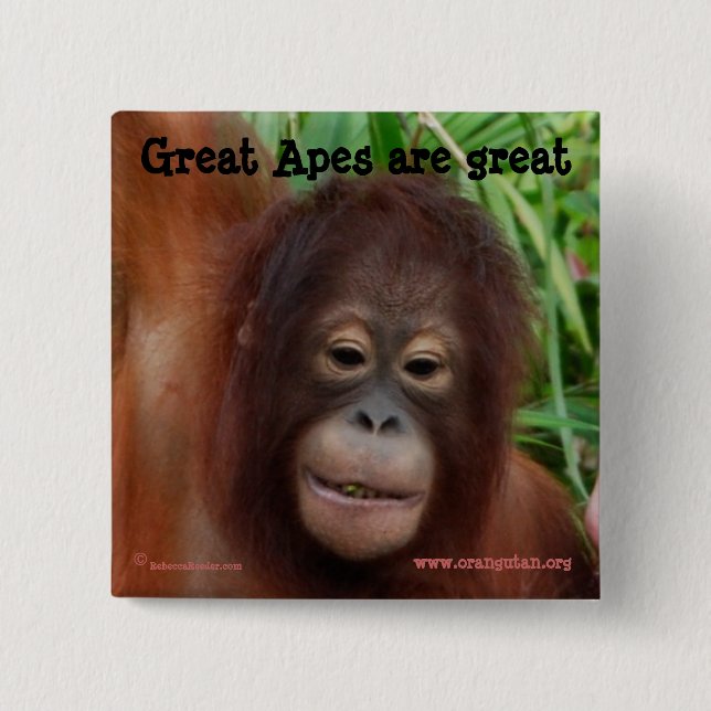 Great Ape Fan 2 Inch Square Button (Front)