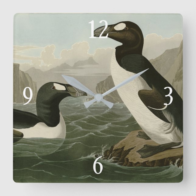 Great Auk - John James Audubon's Birds of America Square Wall Clock (Front)