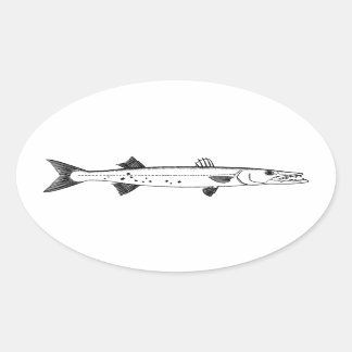 Great Barracuda Logo Oval Sticker