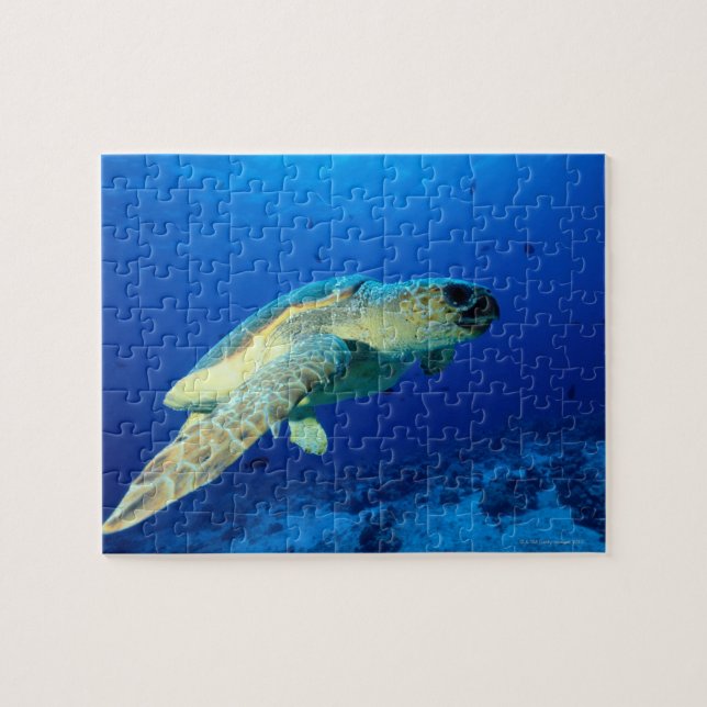 Great Barrier Reef, Australia 2 Jigsaw Puzzle (Horizontal)