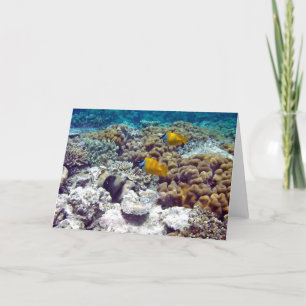 Great Barrier Reef Card