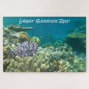 great barrier reef coral jigsaw puzzle