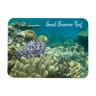 great barrier reef coral magnet