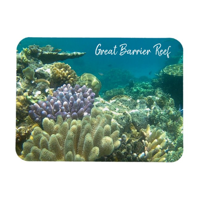 great barrier reef coral magnet (Horizontal)