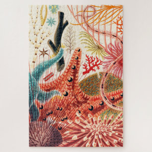 Great Barrier Reef Echinoderms Sea Creatures Jigsaw Puzzle