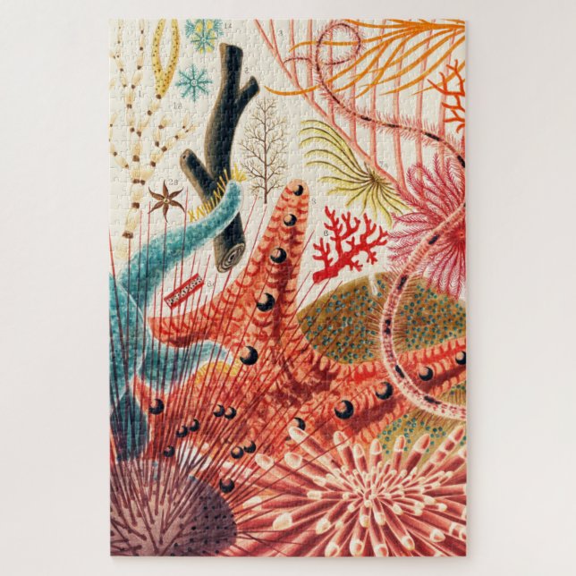 Great Barrier Reef Echinoderms Sea Creatures Jigsaw Puzzle (Vertical)
