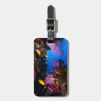 Great Barrier Reef Luggage Tag