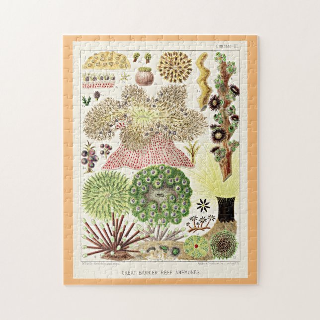 Great Barrier Reef of Australia Anemones Jigsaw Puzzle (Vertical)