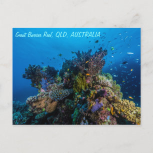 Great Barrier Reef Postcard