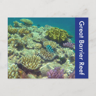 great barrier reef postcard