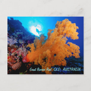 Great Barrier Reef Postcard