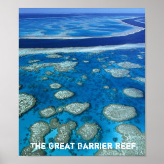 Great Barrier Reef Print