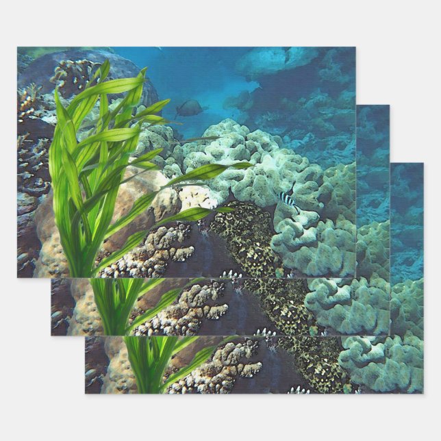 Great Barrier Reef Wrapping Paper Sheet (Set)