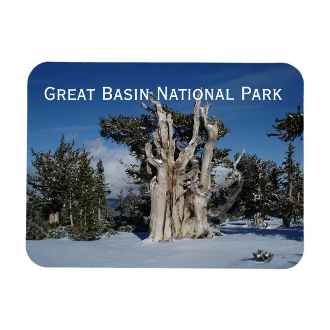 Great Basin National Park Magnet (Horizontal)