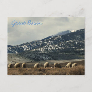 Great Basin Postcard